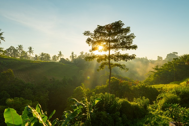 Paisagem verde representando sustentabilidade